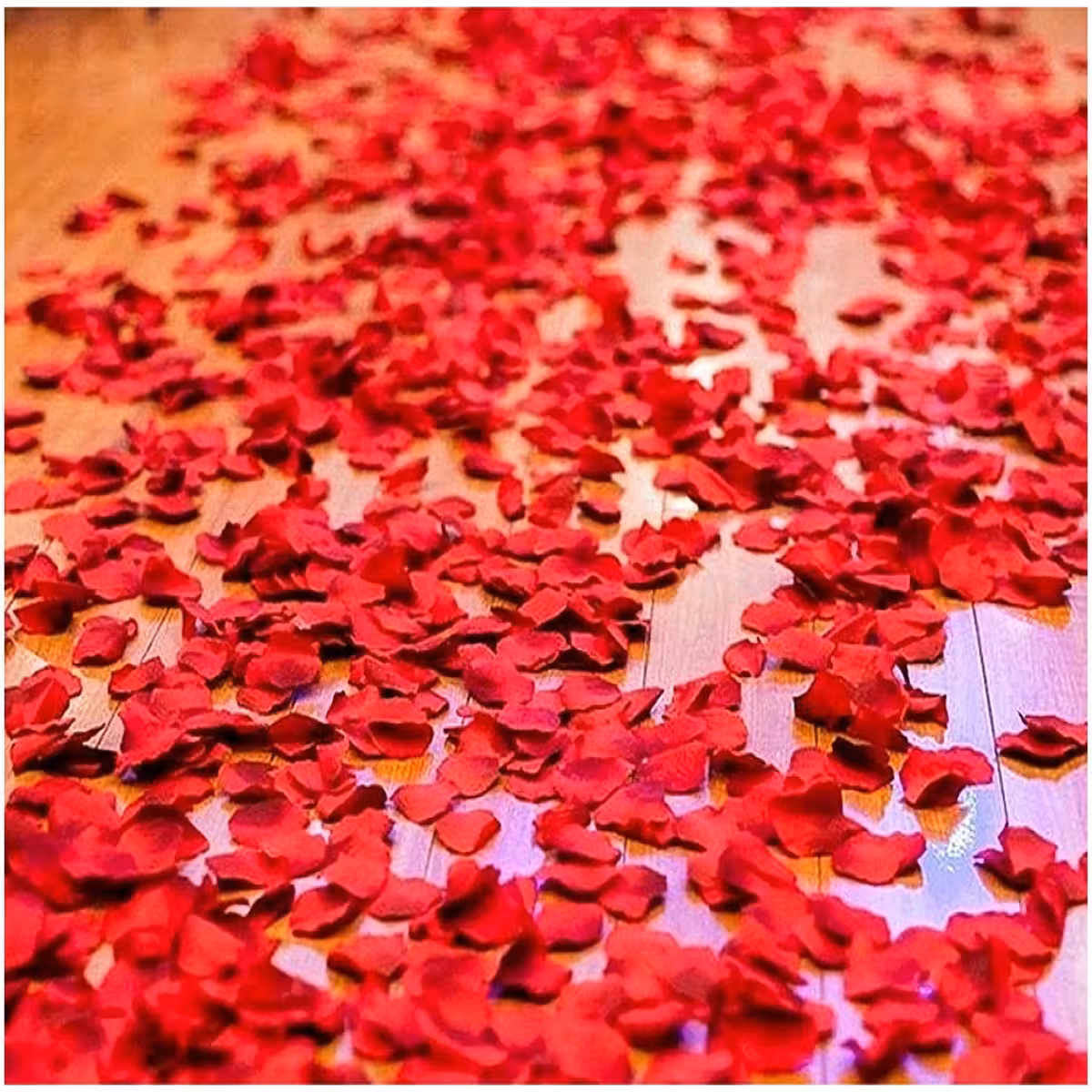 Dirbtiniai raudoni rožių žiedlapiai – puikus dekoras Valentino dienai