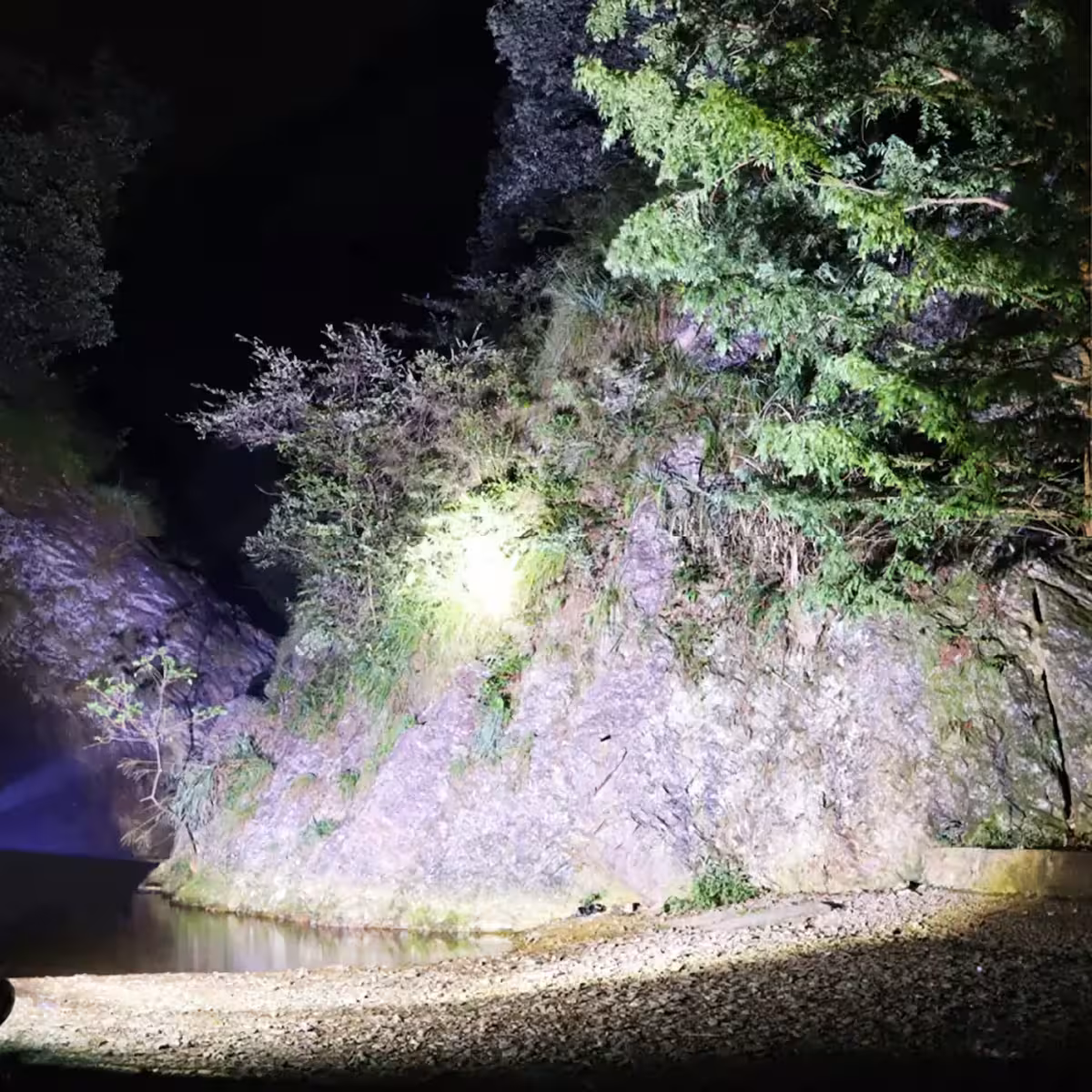 Priekinis žibintas žvejybai, su apsauga nuo drėgmės