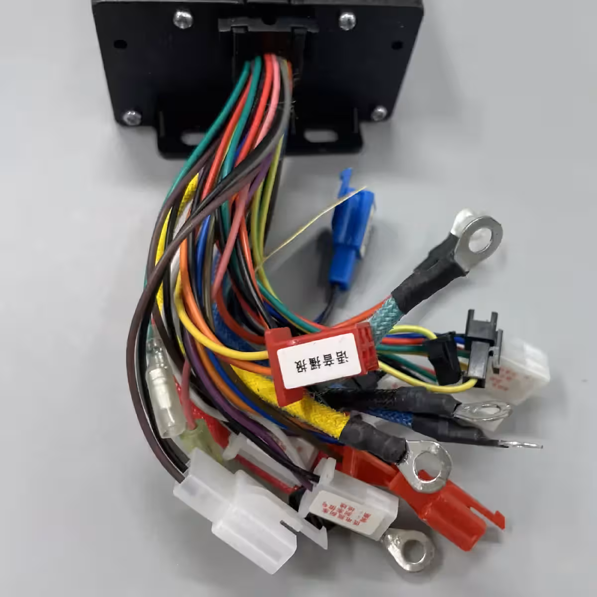 Patobulintas valdiklis Citycoco ir Harley su montavimo schema